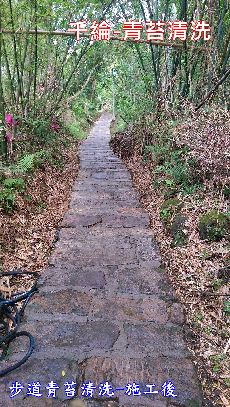 千綸-步道青苔清洗